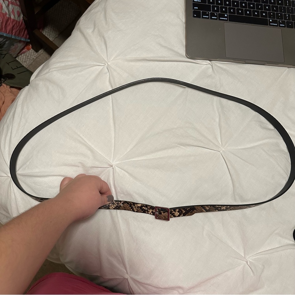 2X Snake print belt from Ava and Viv